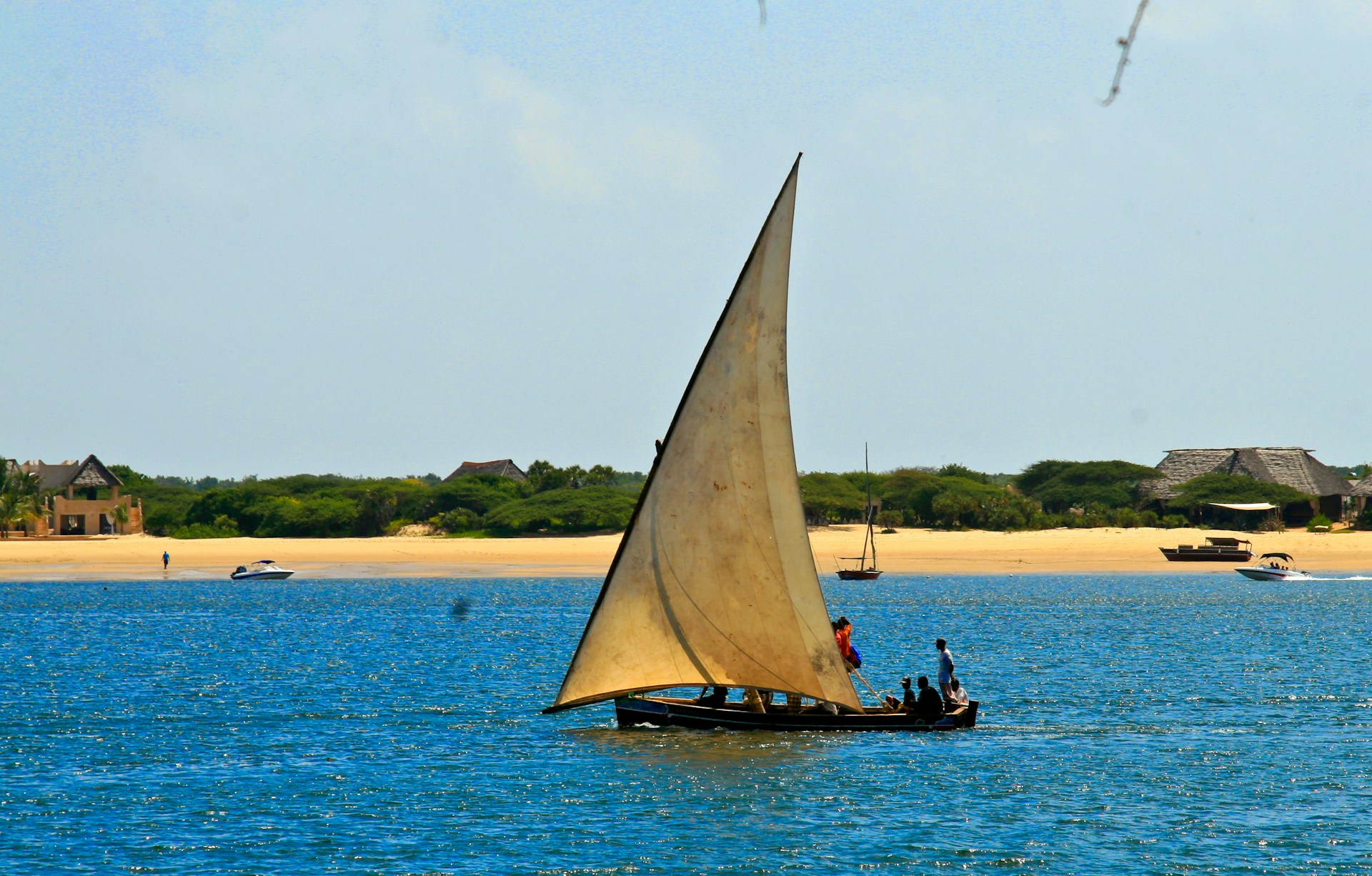 Traditional dhow sailing along Lamu Island coastline showing Swahili culture and coastal life in Kenya